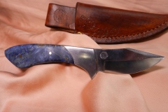 Stainless Steele Blade with Blue Buckeye Burl Handle