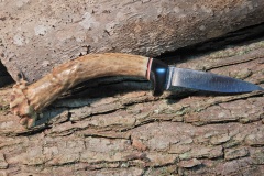 Whitetail Deer Antler with Buffalo Horn Spacer